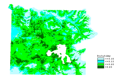 bayesian surface