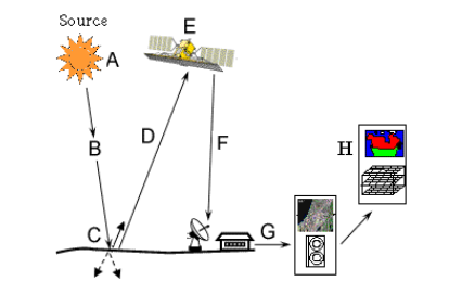 components